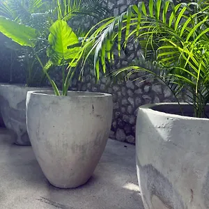Bau **** Tulum Pueblo