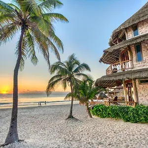 Alaya By Ahau Collection **** Tulum Pueblo